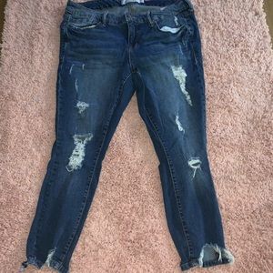 Torid jeans